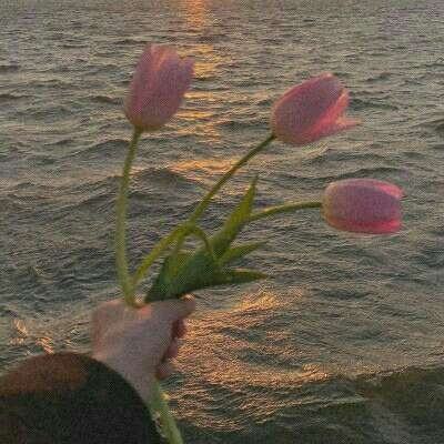 2023年香港资料精准手机app下载