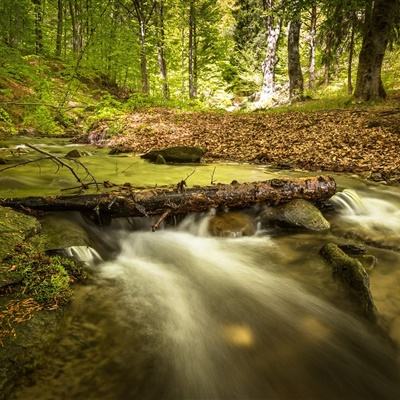 beat365手机版官方网站下载手机版